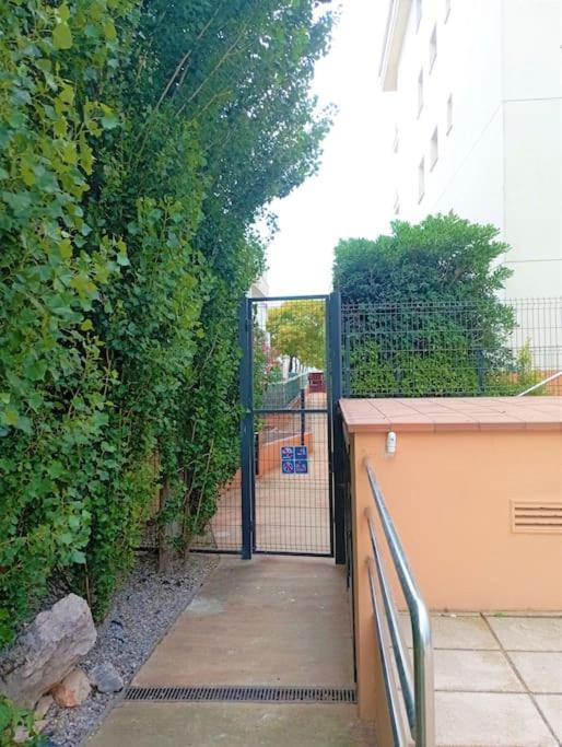 Apartamento En Primera Linea De Mar Roses Esterno foto